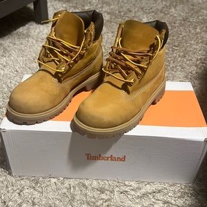 Youth wheat timberlands.